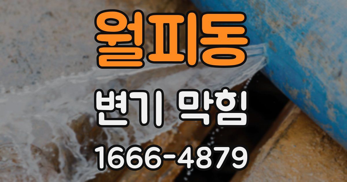 월피동 변기 막힘
