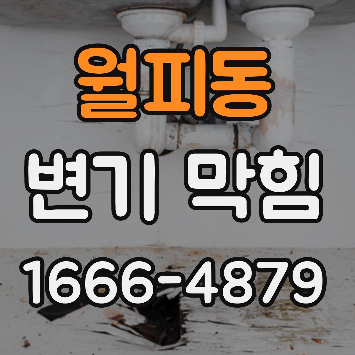 월피동 변기 막힘