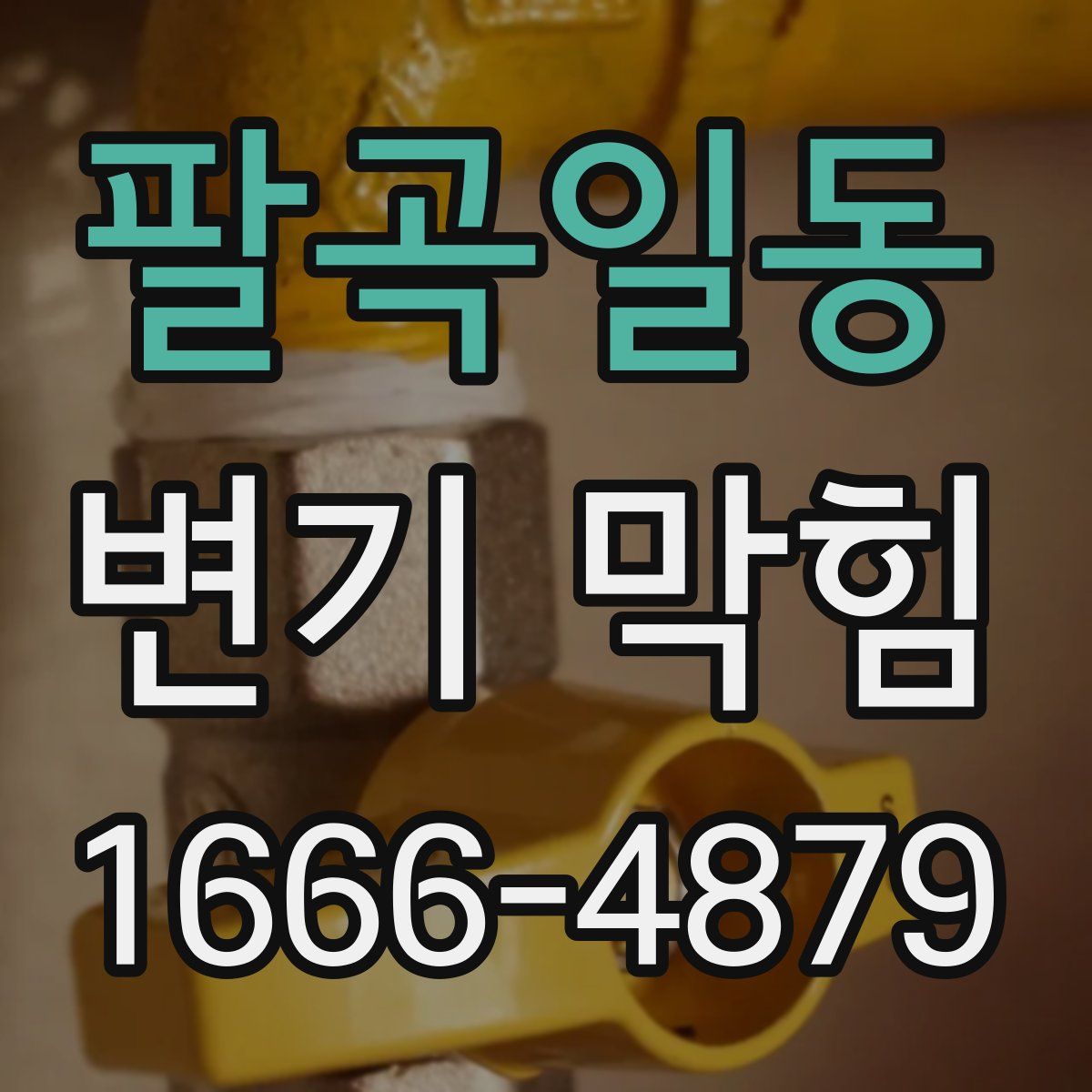팔곡일동 변기 막힘