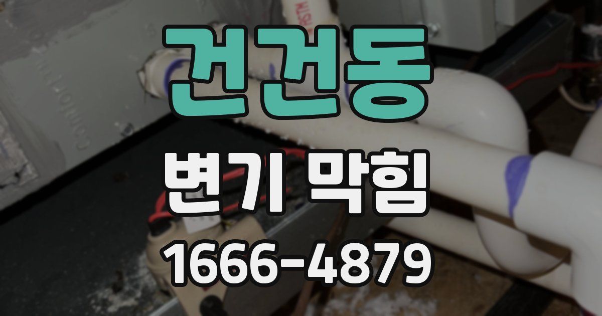 건건동 변기 막힘