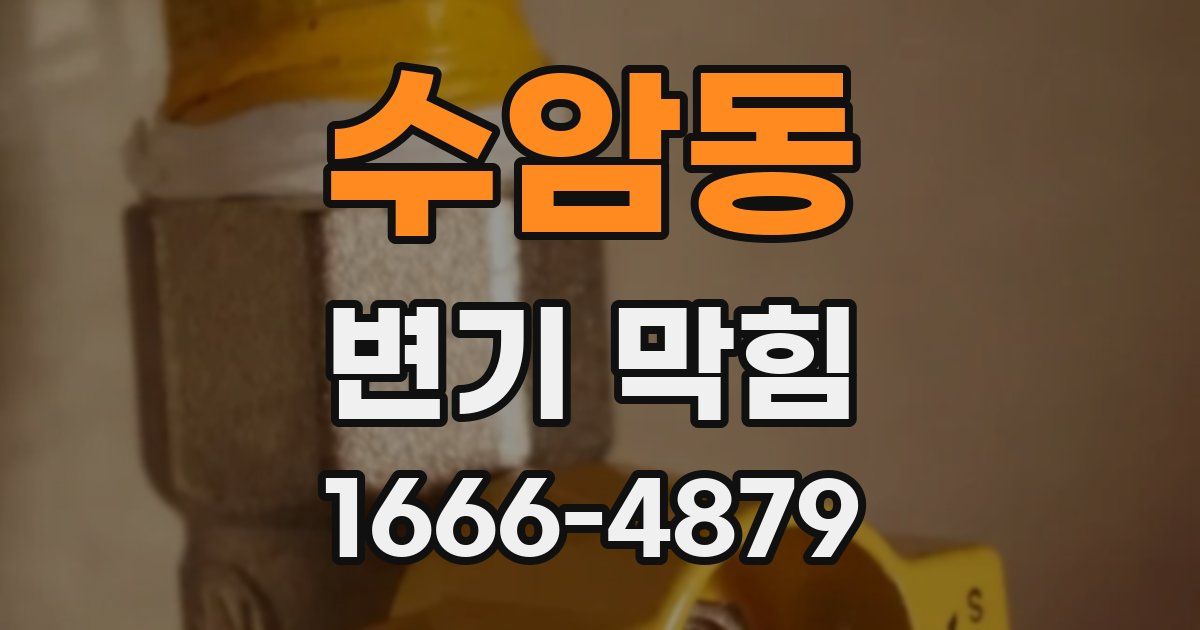 수암동 변기 막힘