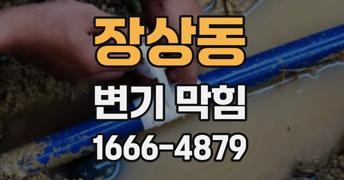 장상동 변기 막힘