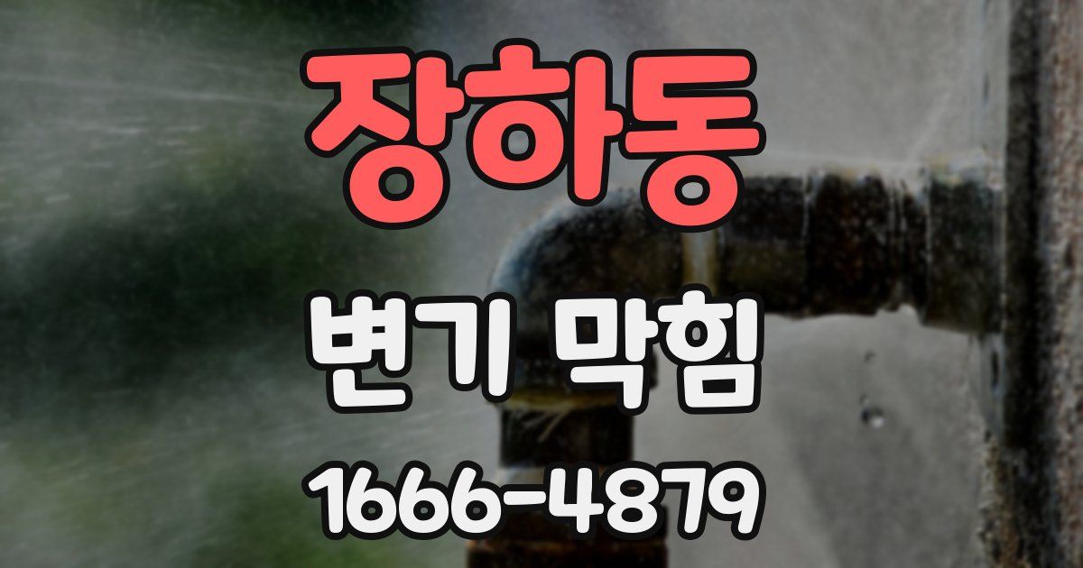 장하동 변기 막힘