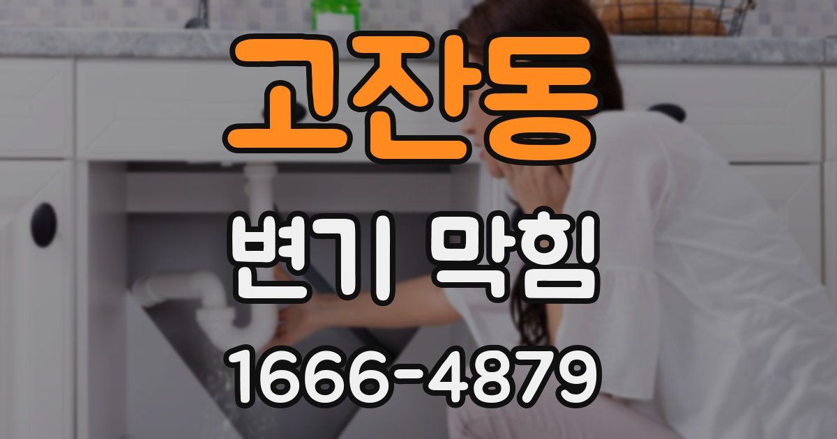 고잔동 변기 막힘