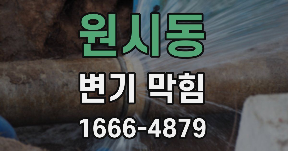 원시동 변기 막힘