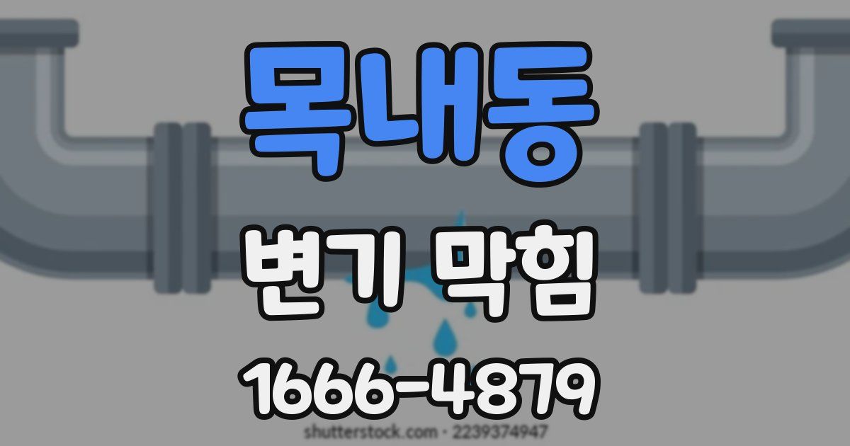 목내동 변기 막힘