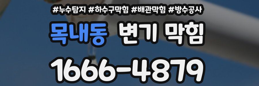 목내동 변기 막힘