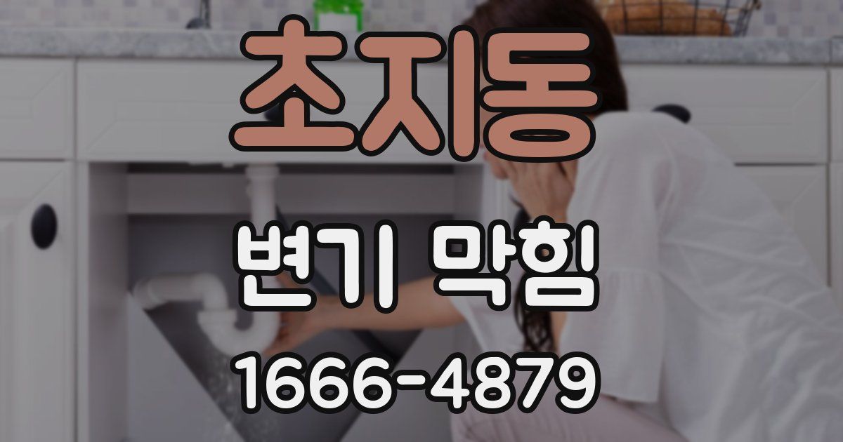 초지동 변기 막힘