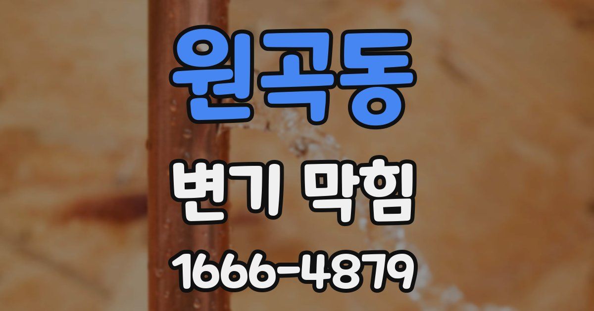 원곡동 변기 막힘