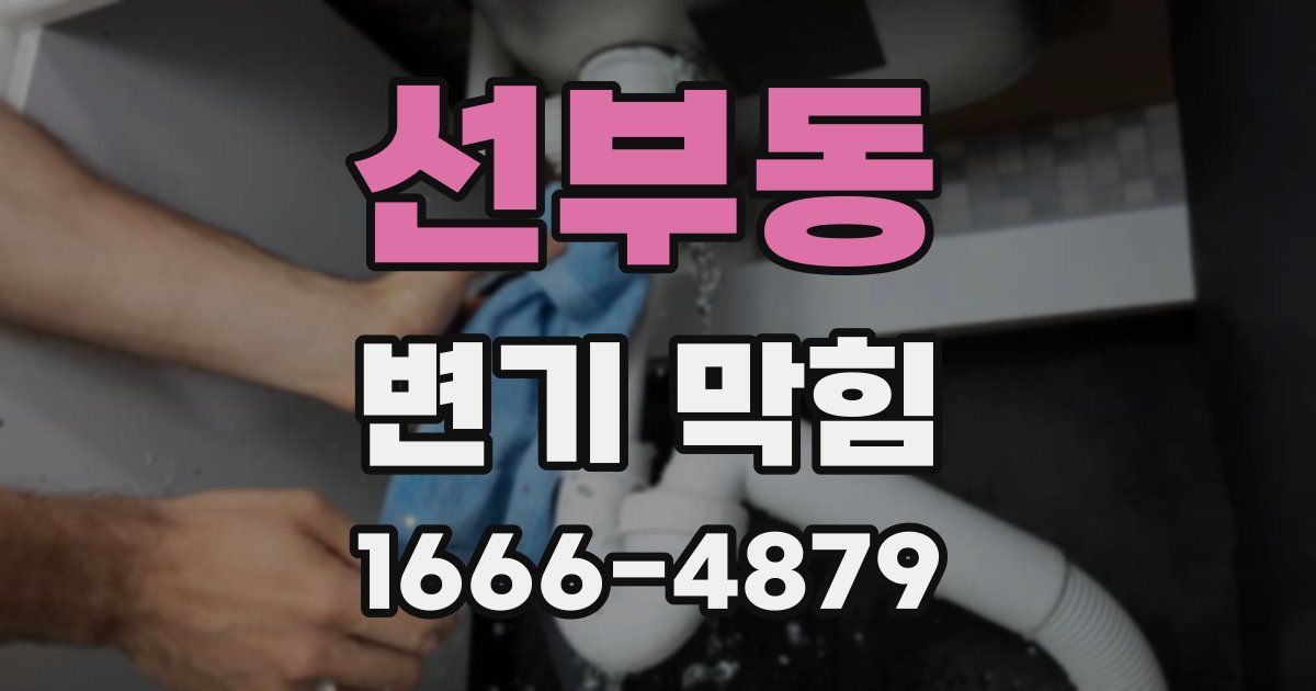 선부동 변기 막힘