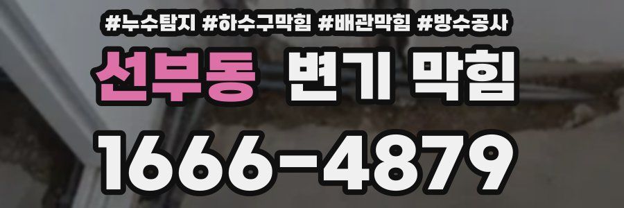 선부동 변기 막힘