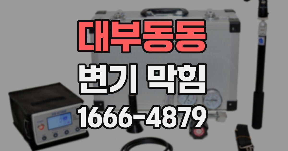 대부동동 변기 막힘