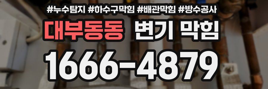 대부동동 변기 막힘