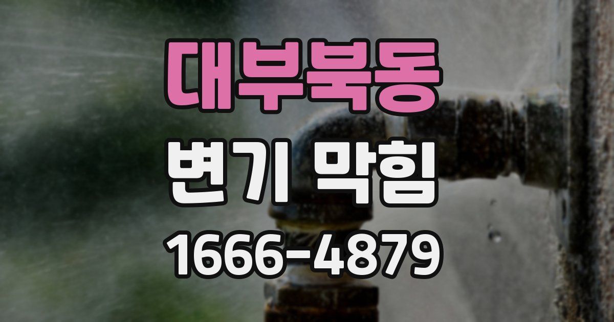 대부북동 변기 막힘