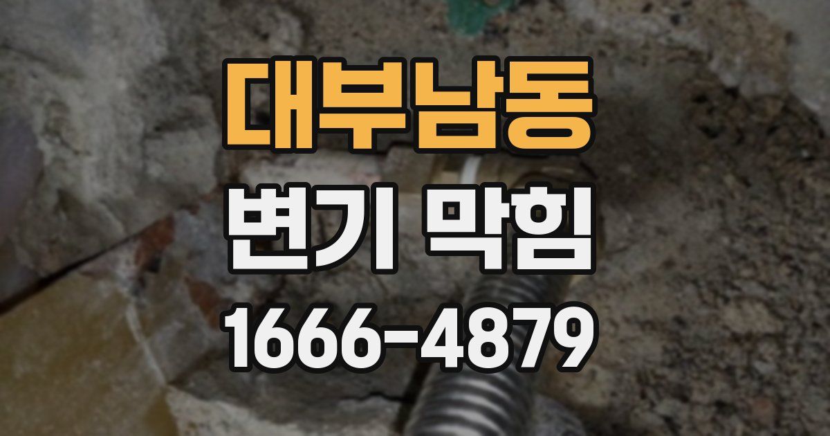 대부남동 변기 막힘
