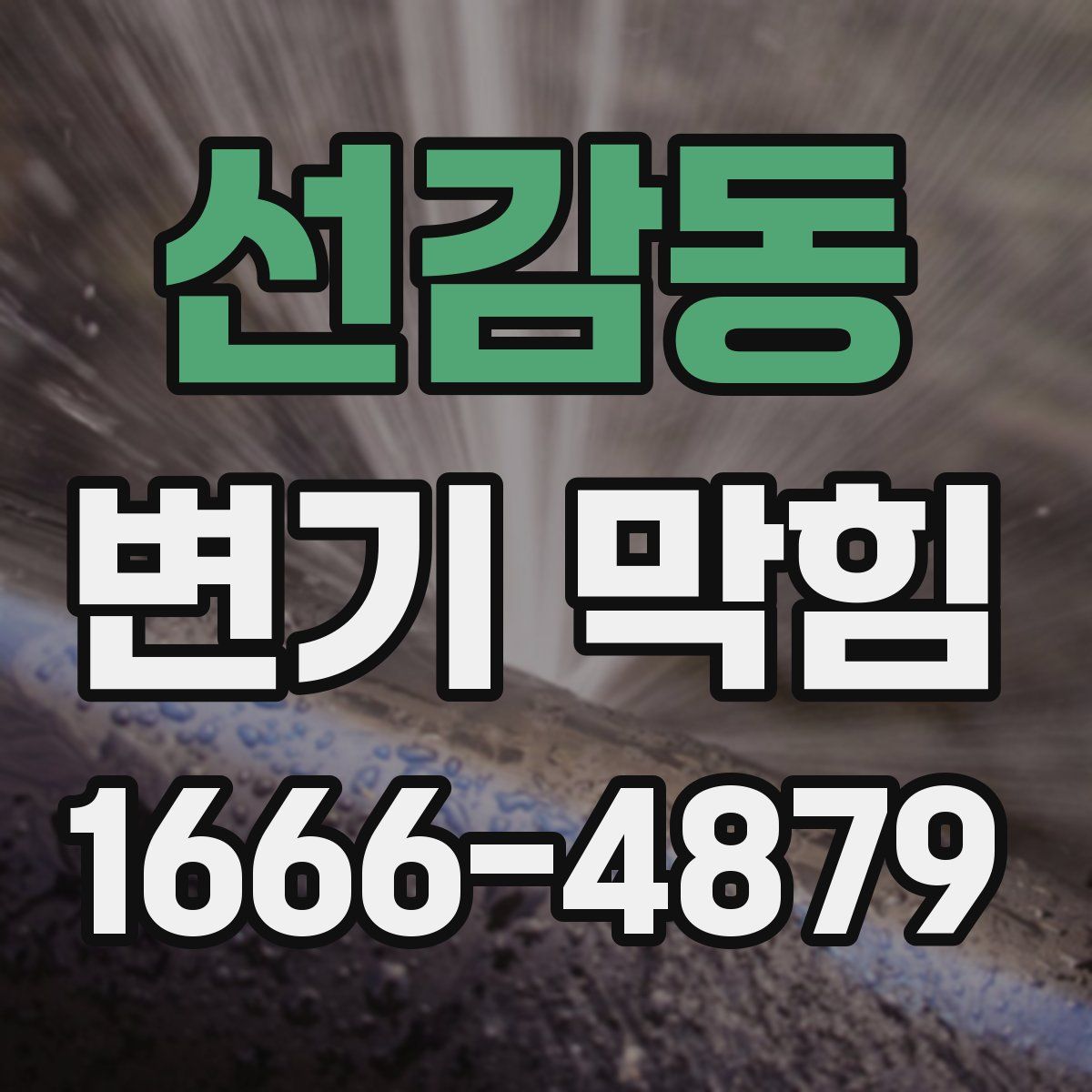 선감동 변기 막힘
