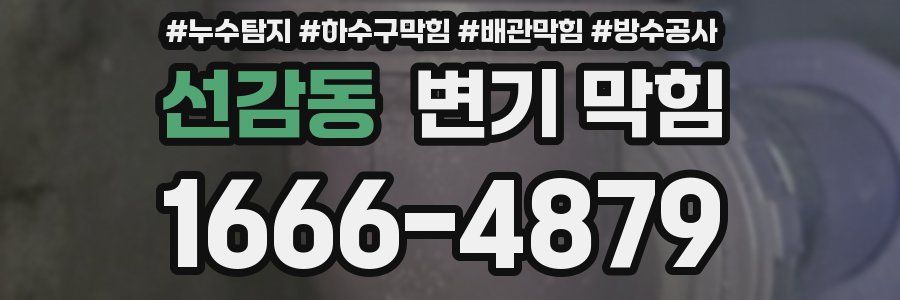 선감동 변기 막힘