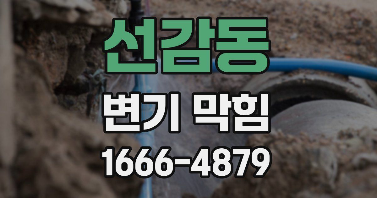 선감동 변기 막힘