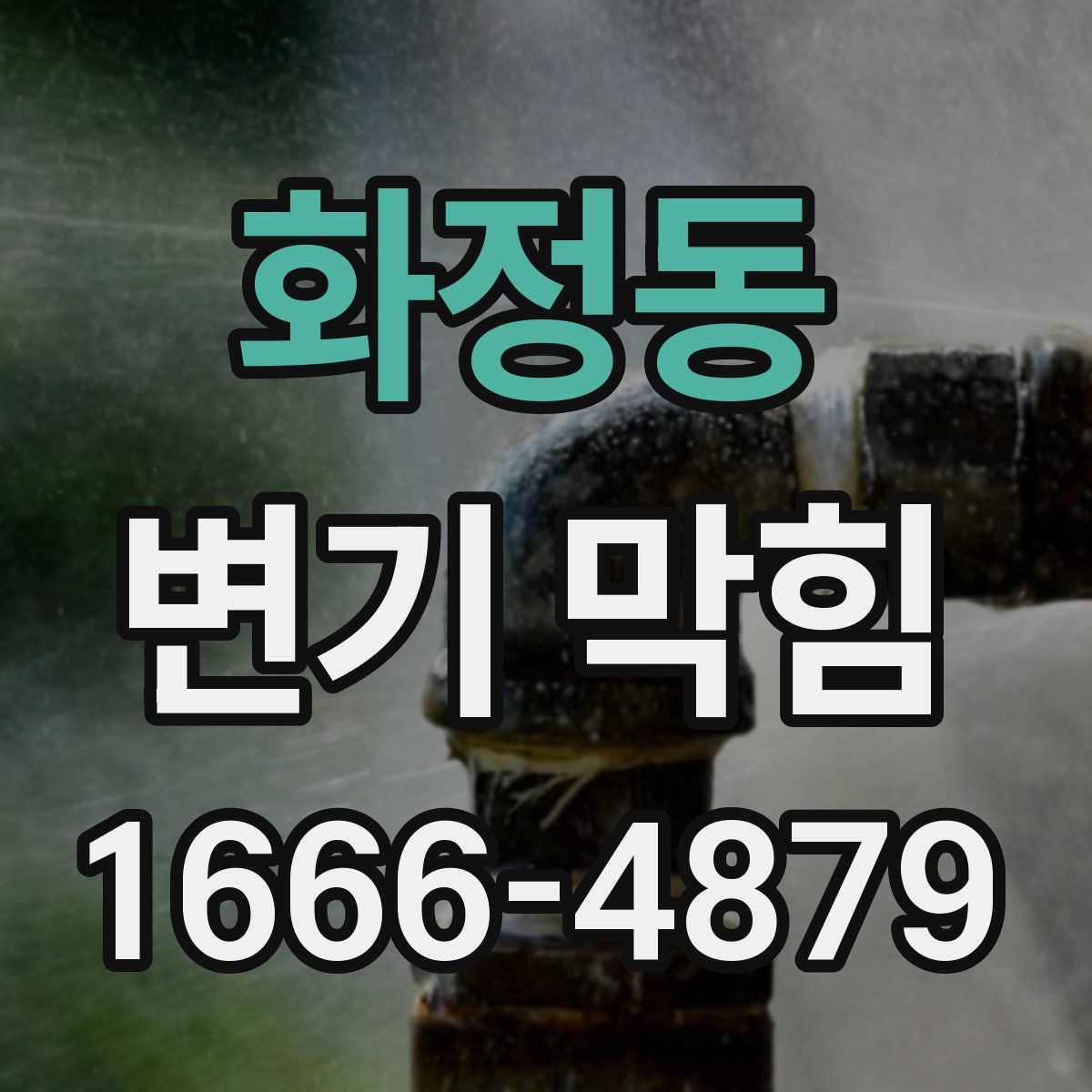 화정동 변기 막힘