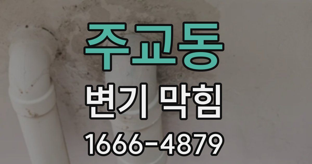 주교동 변기 막힘