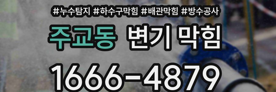 주교동 변기 막힘