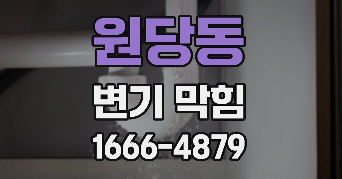 원당동 변기 막힘
