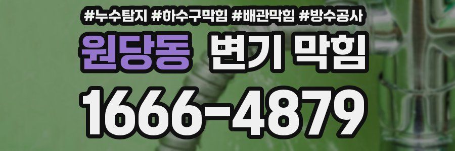 원당동 변기 막힘