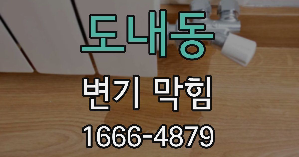 도내동 변기 막힘