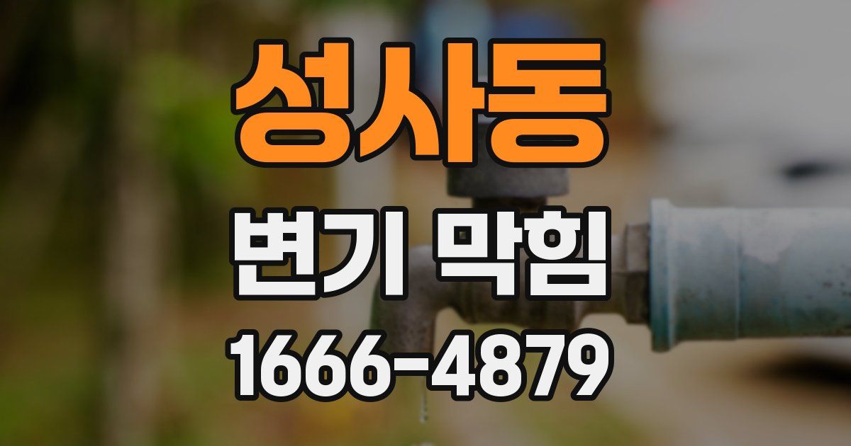성사동 변기 막힘