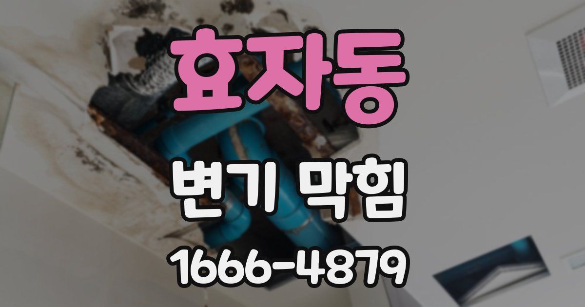 효자동 변기 막힘