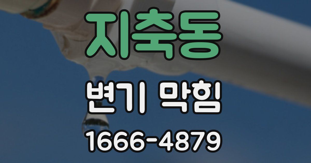 지축동 변기 막힘