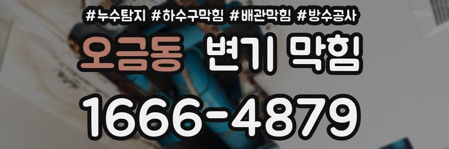 오금동 변기 막힘