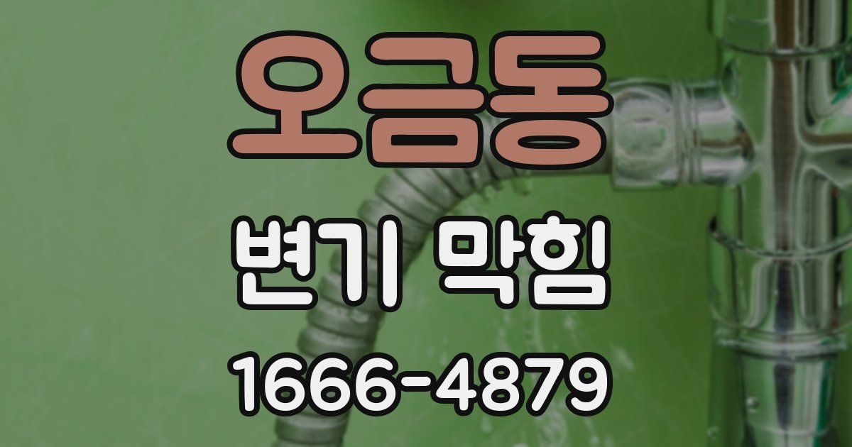 오금동 변기 막힘