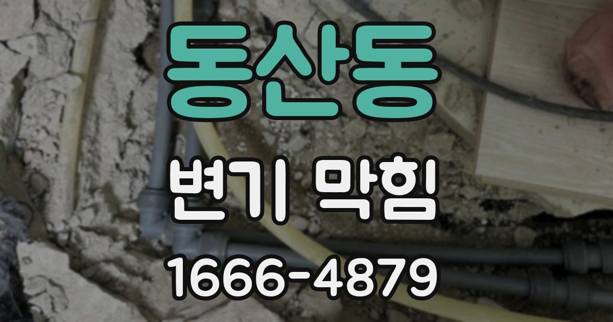 동산동 변기 막힘