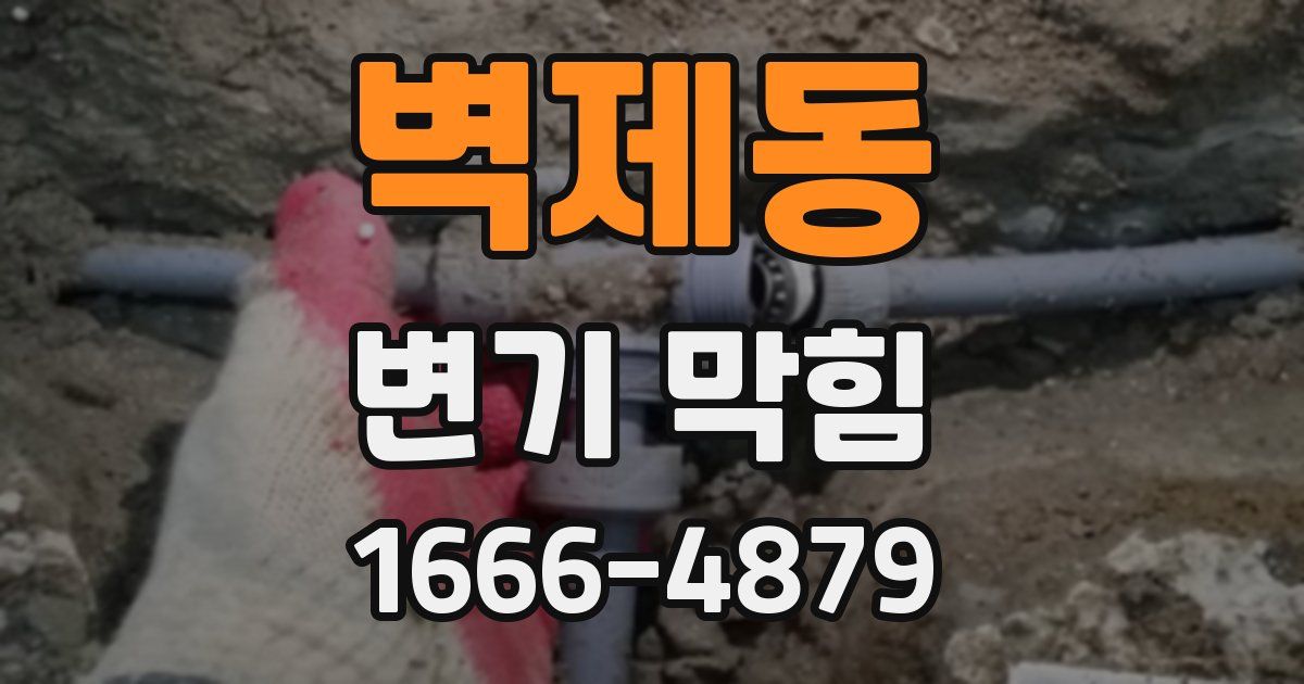 벽제동 변기 막힘