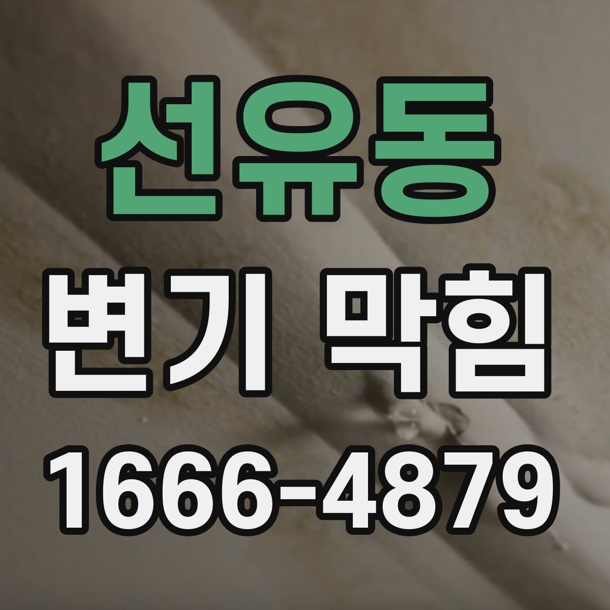 선유동 변기 막힘