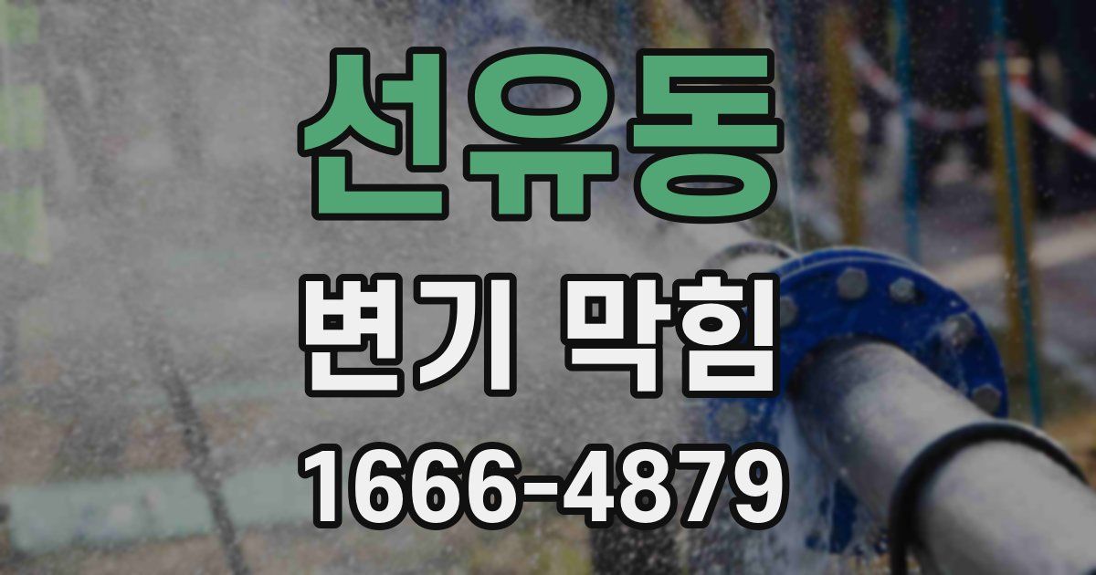 선유동 변기 막힘