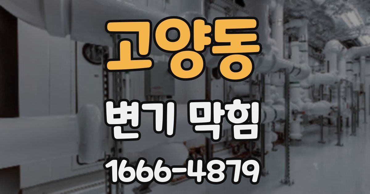 고양동 변기 막힘