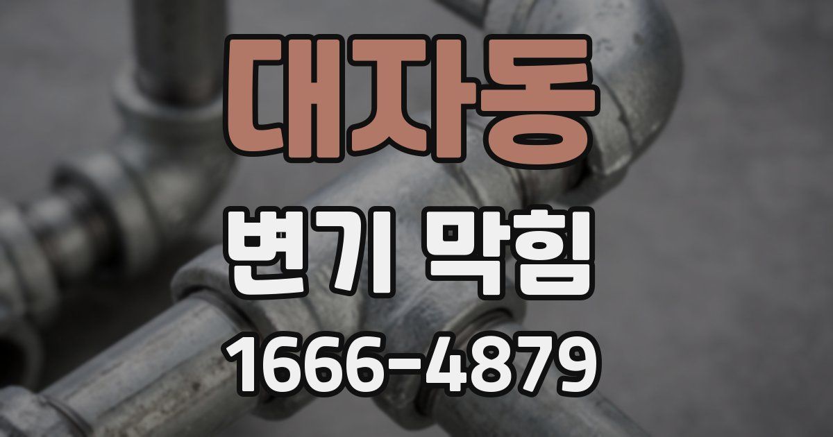 대자동 변기 막힘