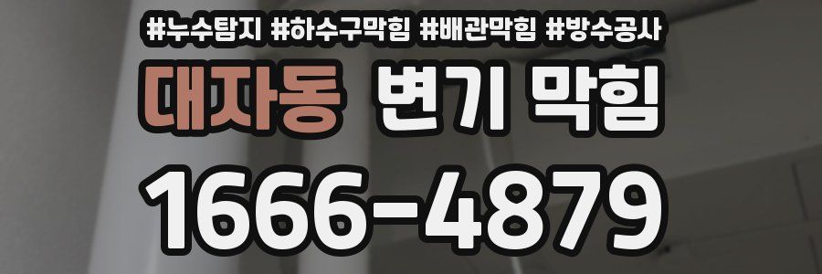 대자동 변기 막힘