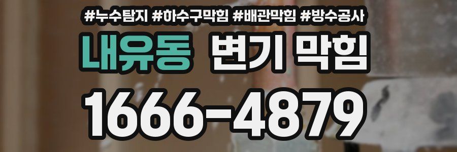 내유동 변기 막힘