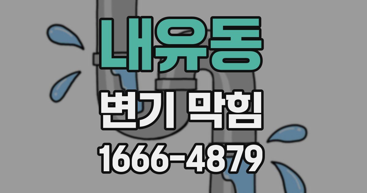 내유동 변기 막힘