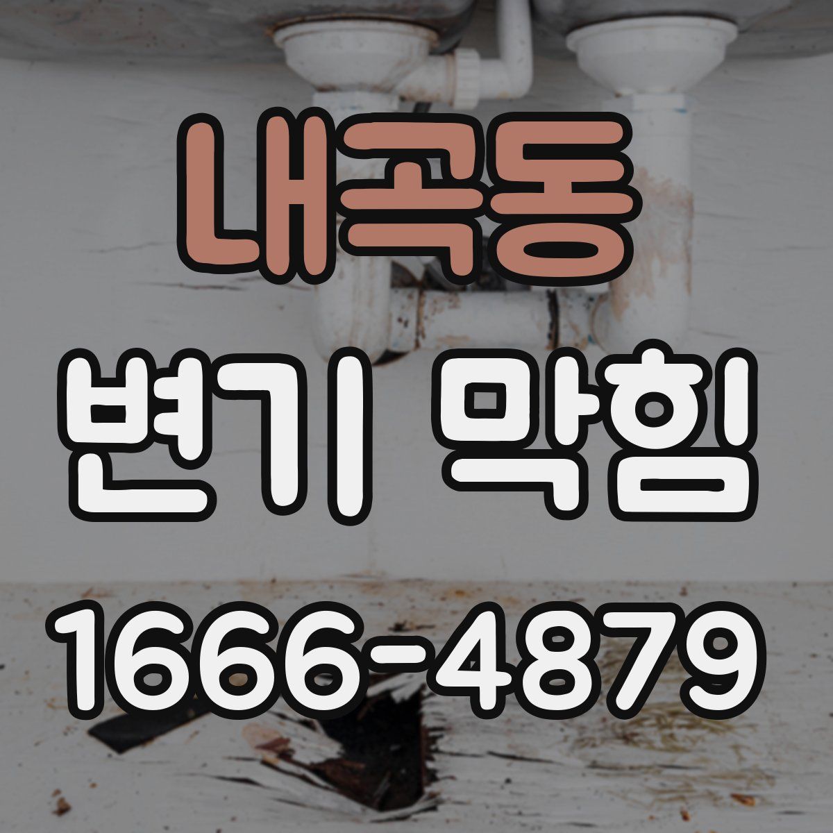 내곡동 변기 막힘