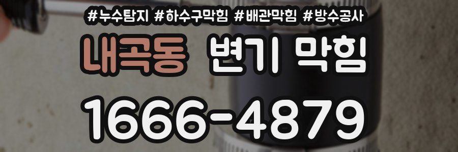 내곡동 변기 막힘