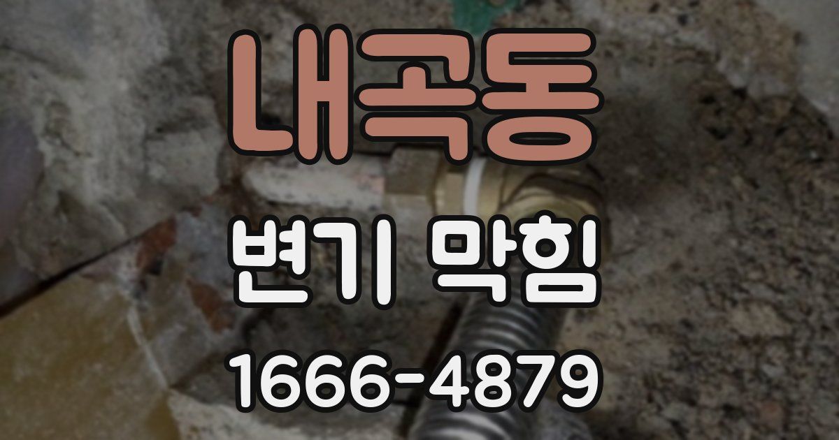 내곡동 변기 막힘