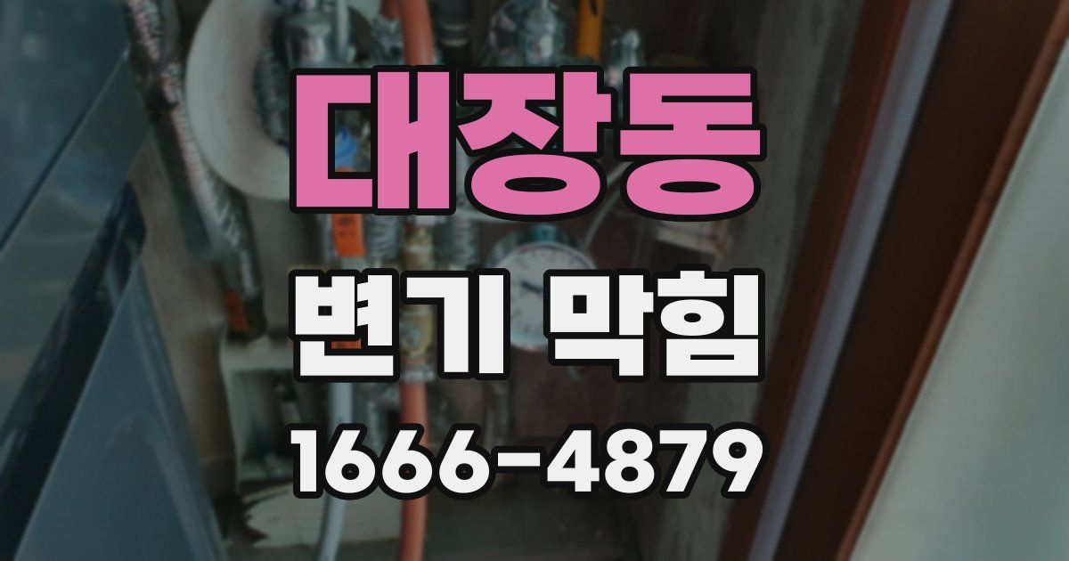 대장동 변기 막힘