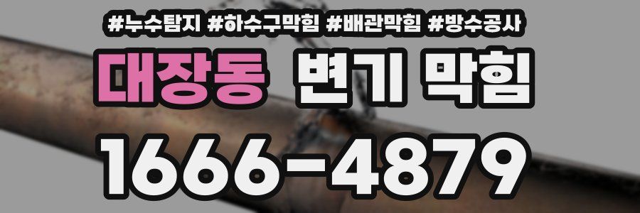 대장동 변기 막힘