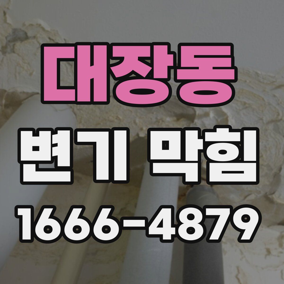 대장동 변기 막힘