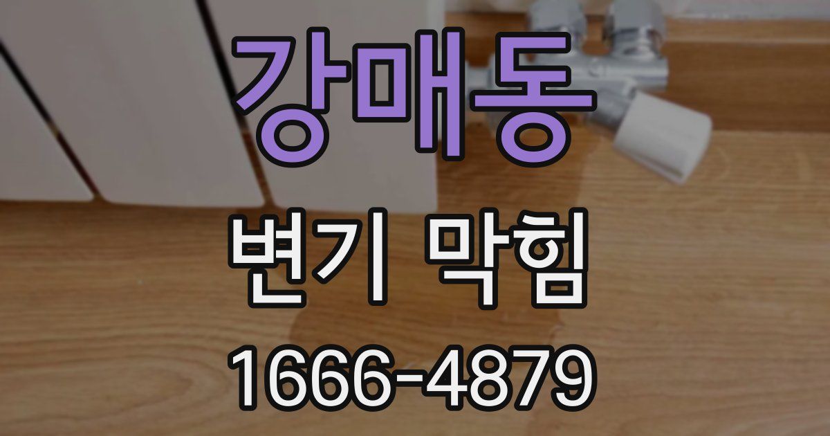 강매동 변기 막힘