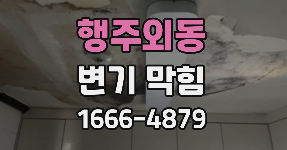 행주외동 변기 막힘